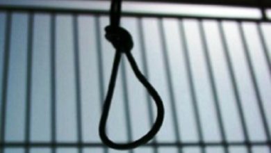 Photo of IHRDC Chart of Executions by the Islamic Republic of Iran – 2021